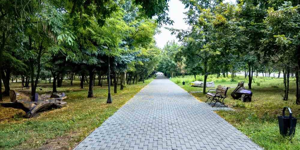 Paving & Driveways